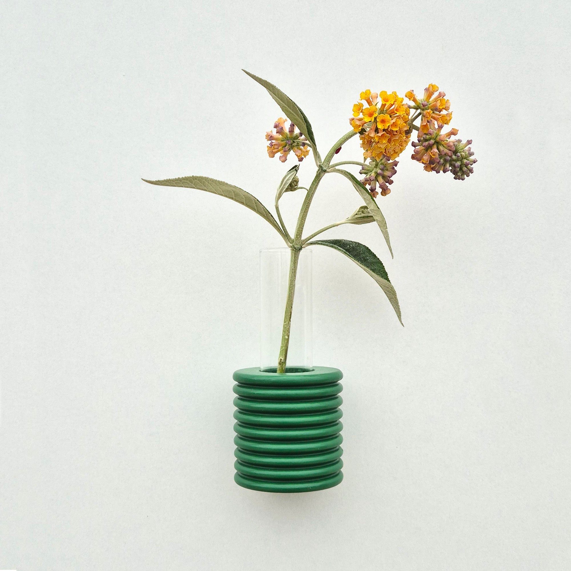 Ribble Wall Vase l Green